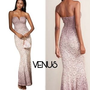 Venus Ombré stretchy lace dress retail $99 only worn once